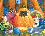 Cute kittens in a pumpkin patch cross stitch kit for beginners