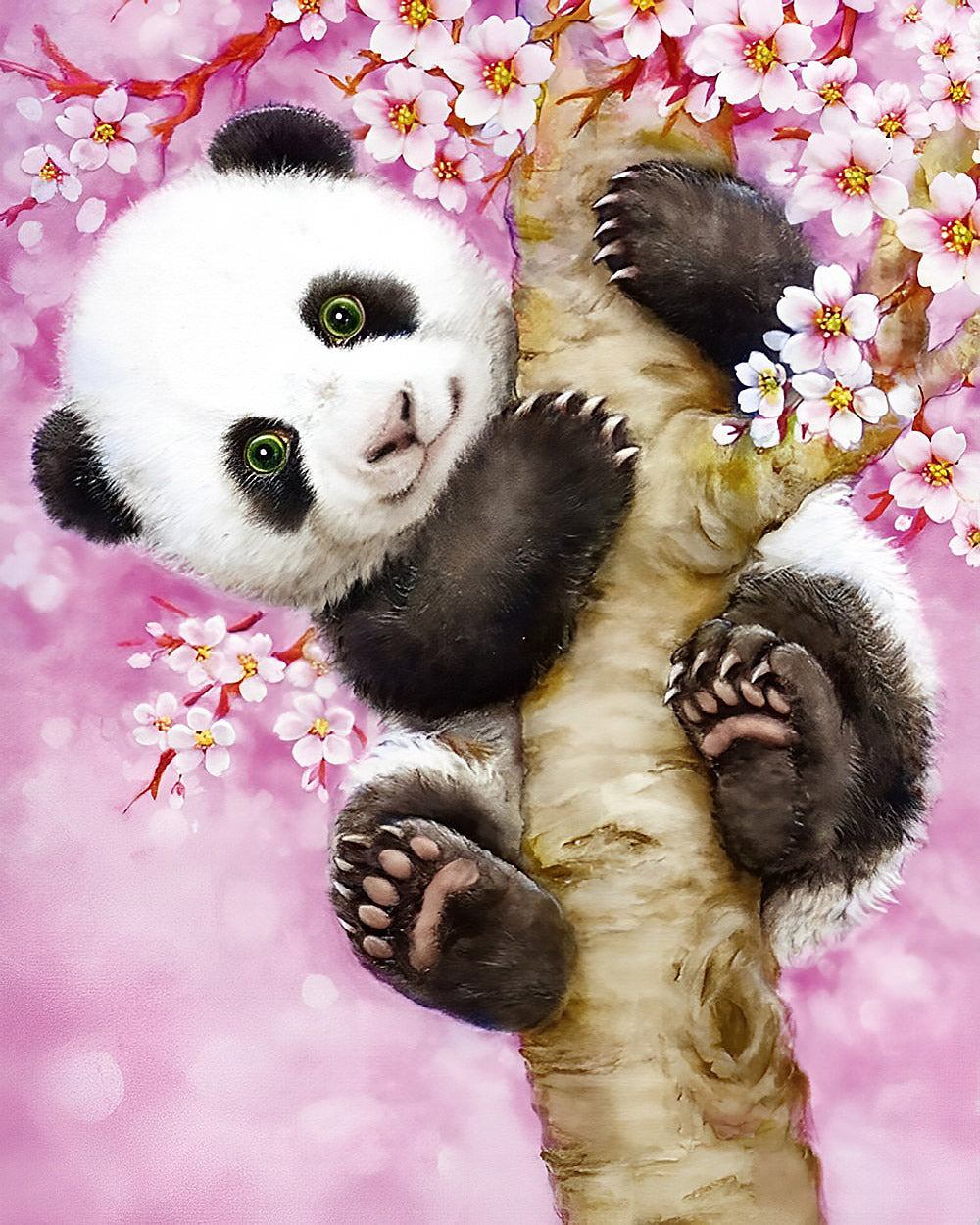 Cute panda in a cherry blossom tree paint by numbers kit for beginners