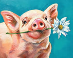 Cute pig with daisy cross stitch kit for beginners