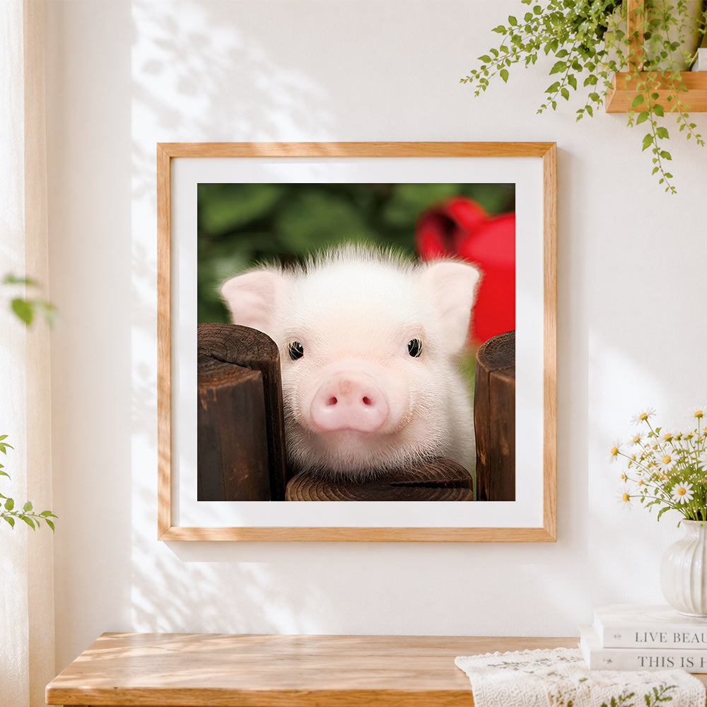 Finished cute piglet peeking over fence cross stitch artwork displayed
