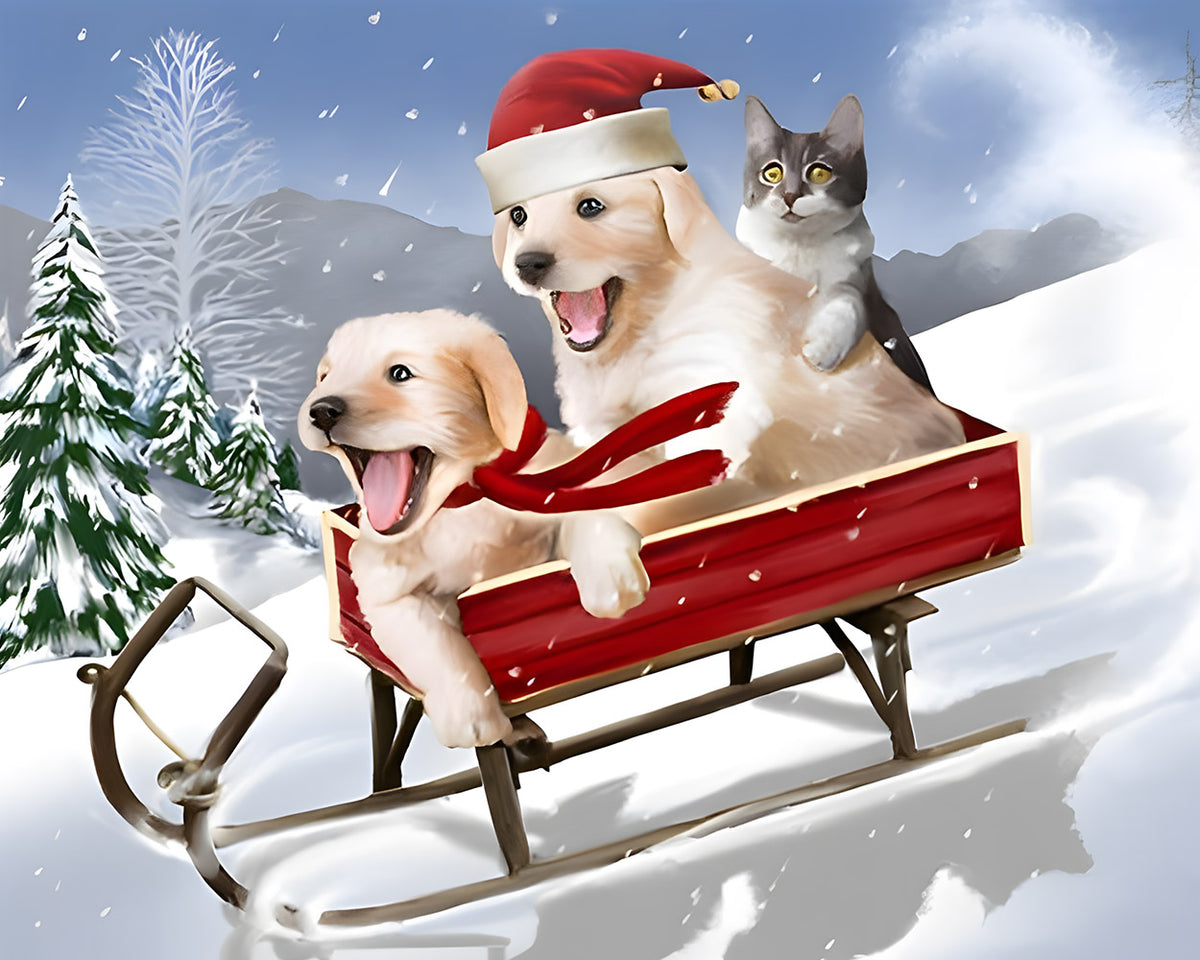 Cute puppies and kitten sledging in the snow paint by numbers kit for beginners