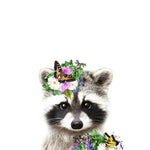 Cute raccoon with floral crown cross stitch kit for beginners