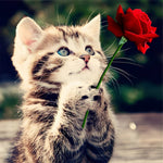 Cute tabby kitten holding a red rose cross stitch kit for beginners