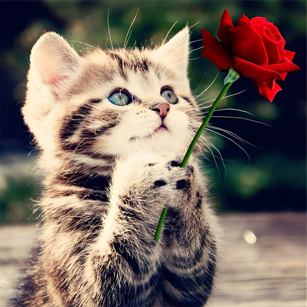 Cute tabby kitten holding a red rose cross stitch kit for beginners