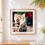Finished cute tabby kitten holding a red rose paint by numbers artwork displayed as home decor