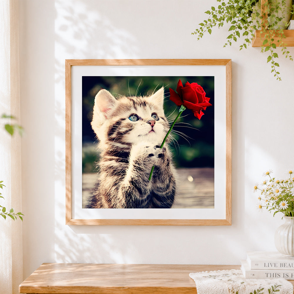 Finished cute tabby kitten holding a red rose paint by numbers artwork displayed as home decor