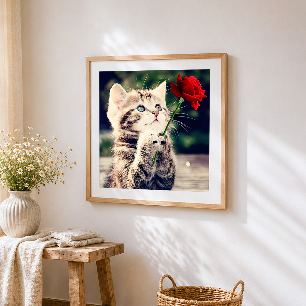 Cute tabby kitten holding a red rose paint by numbers artwork displayed on wall as home decor