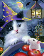 Cute witch cat with mouse cross stitch kit for beginners
