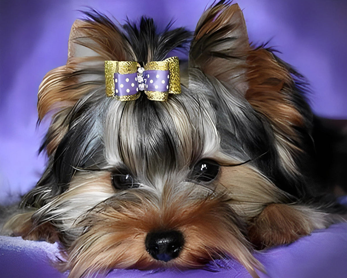 Cute yorkshire terrier with bow cross stitch kit for beginners