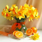 Daffodils and oranges still life cross stitch kit for beginners