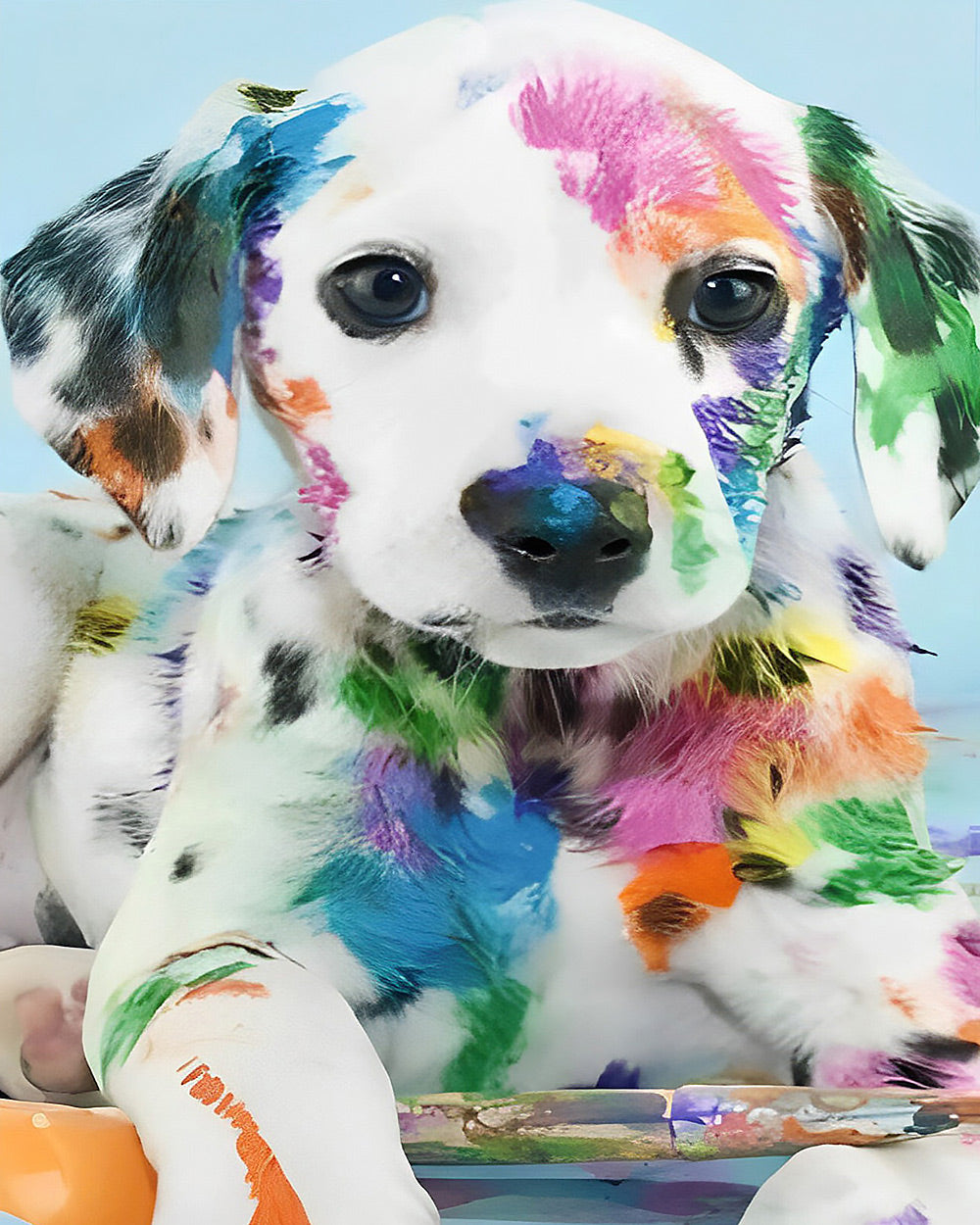 Dalmatian puppy covered in paint cross stitch kit for beginners