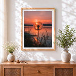 Finished dandelion at sunset cross stitch artwork displayed