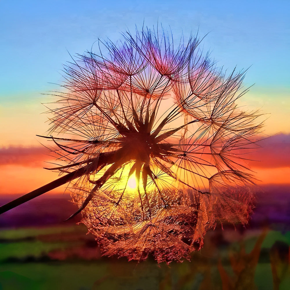 Dandelion seed at sunset cross stitch kit for beginners