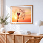 Dandelion seed head at sunset paint by numbers artwork displayed on wall as home decor
