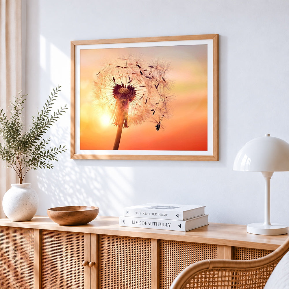 Dandelion seed head at sunset paint by numbers artwork displayed on wall as home decor