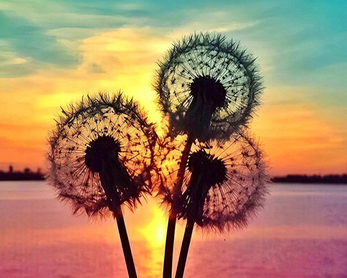Dandelion silhouette at sunset cross stitch kit for beginners