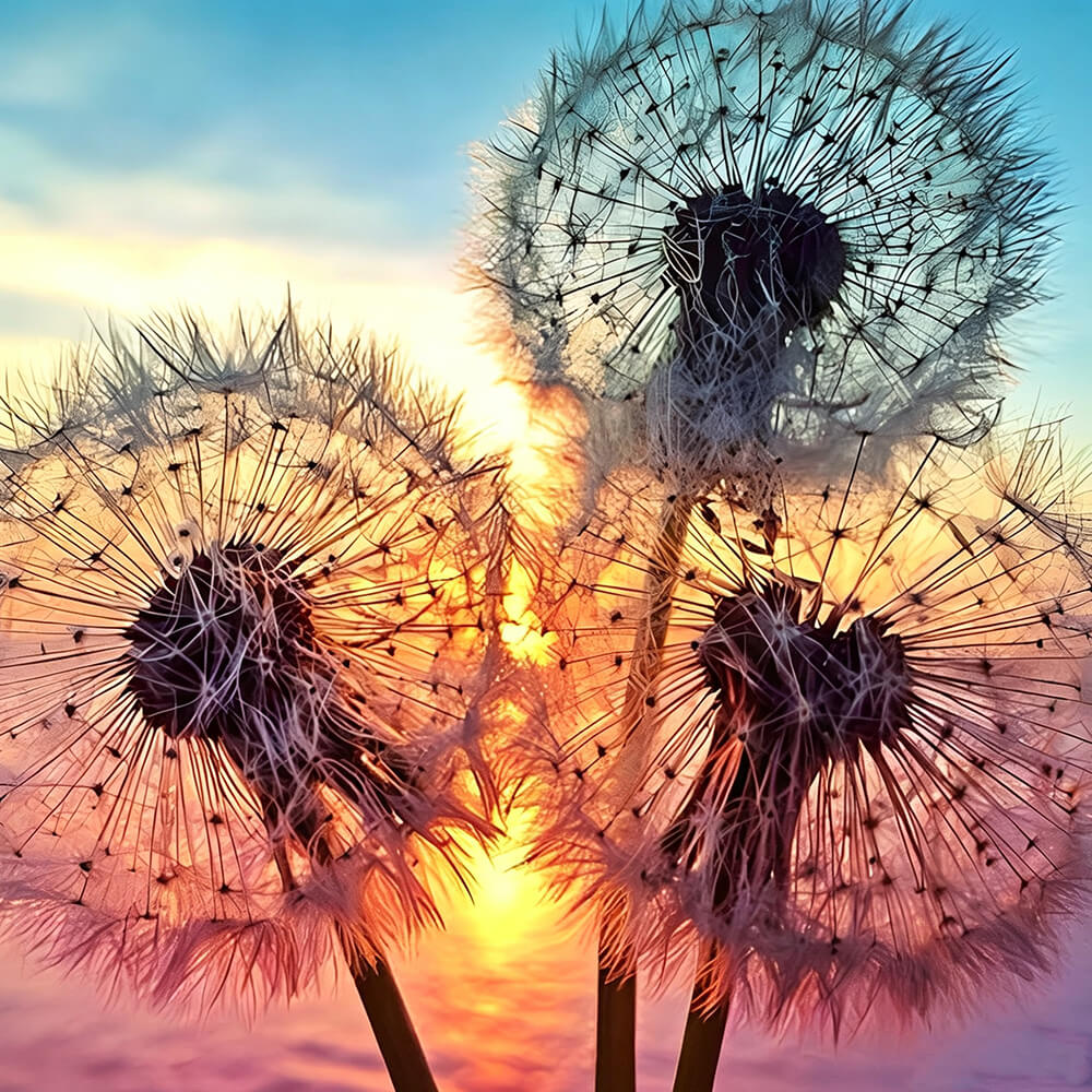 Dandelion silhouettes at sunset cross stitch kit for beginners