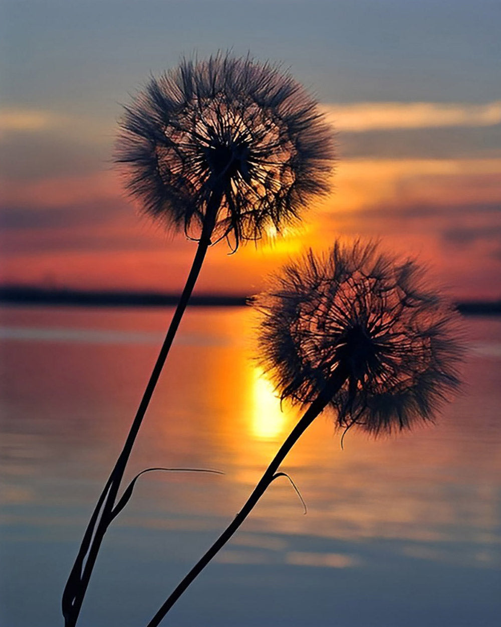 Dandelions silhouette at sunset cross stitch kit for beginners