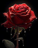 Dark red rose with water droplets cross stitch kit for beginners