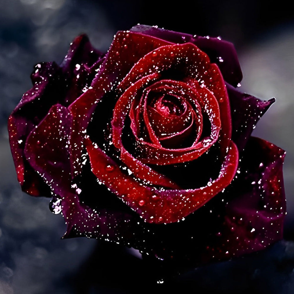 Deep red rose with water droplets paint by numbers kit for beginners