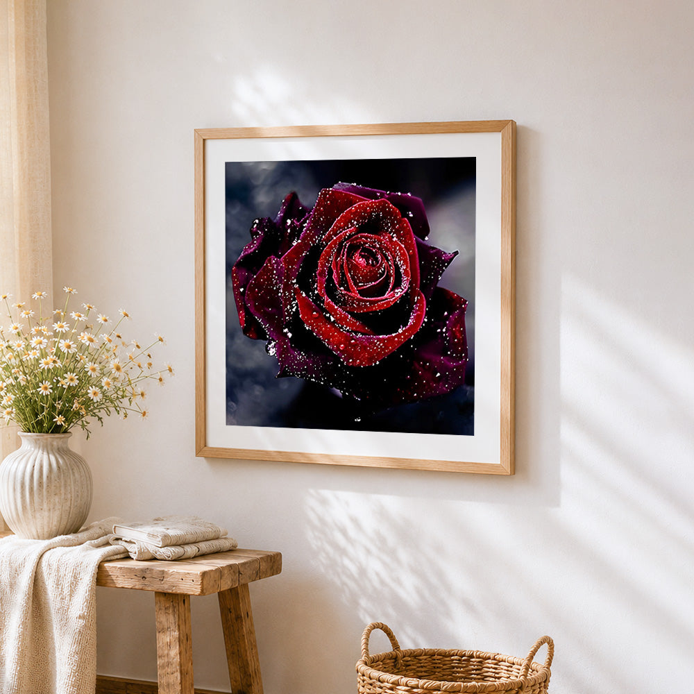 Deep red rose with water droplets paint by numbers artwork displayed on wall as home decor