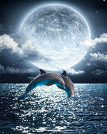 Dolphins jumping under a full moon cross stitch kit for beginners