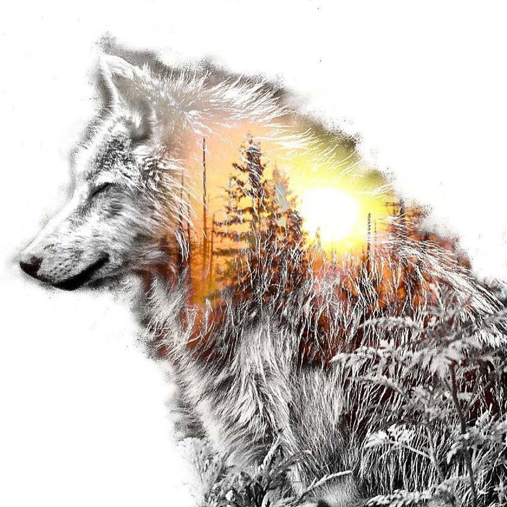 Double exposure wolf and sunset forest paint by numbers kit for beginners