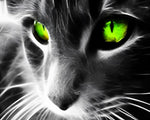 Dramatic cat with neon green eyes cross stitch kit for beginners