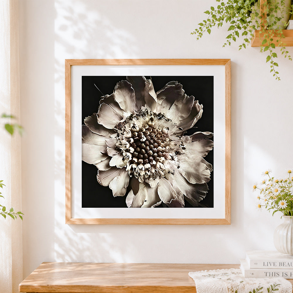 Finished dried white flower close up cross stitch artwork displayed