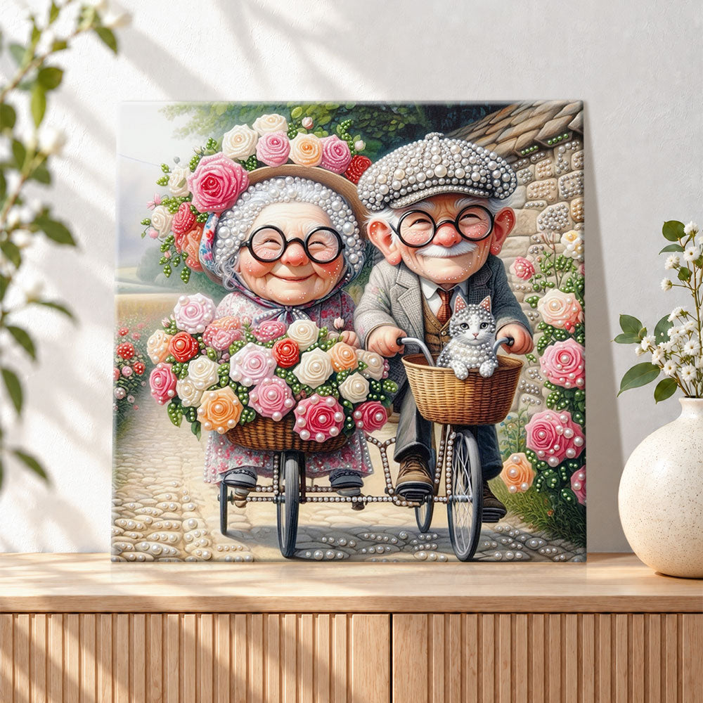 Finished elderly couple biking in garden pearl diamond painting artwork displayed as holiday home decor