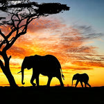 Elephant silhouette with acacia tree cross stitch kit for beginners