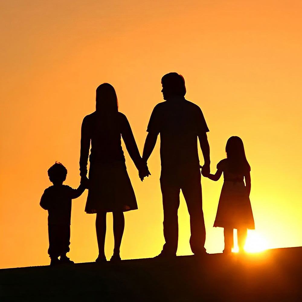 Family holding hands at sunset silhouette cross stitch kit for beginners
