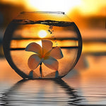 Flower in glass sunset cross stitch kit for beginners