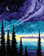 Forest lake at starry night cross stitch kit for beginners