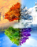 Four seasons tree and church paint by numbers kit for beginners