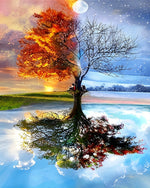 Four seasons tree reflection paint by numbers kit for beginners