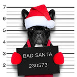 French bulldog "bad santa" mugshot paint by numbers kit for beginners