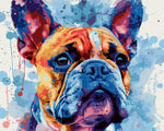 French bulldog watercolour art paint by numbers kit for beginners
