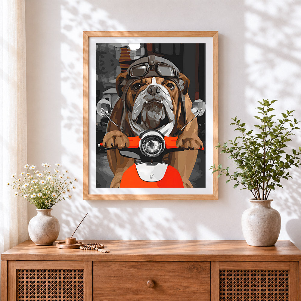 Finished funny bulldog on a motorbike cross stitch artwork displayed