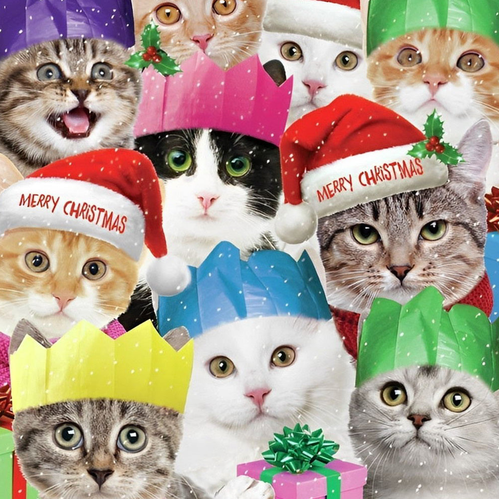 Funny christmas cats in santa hats cross stitch kit for beginners