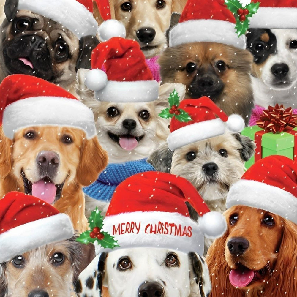 Funny christmas dogs in santa hats cross stitch kit for beginners
