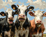 Funny curious cows paint by numbers kit for beginners
