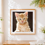 Finished ginger kitten in sunlight cross stitch artwork displayed