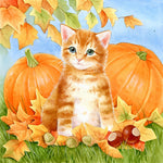 Ginger kitten with autumn pumpkins cross stitch kit for beginners