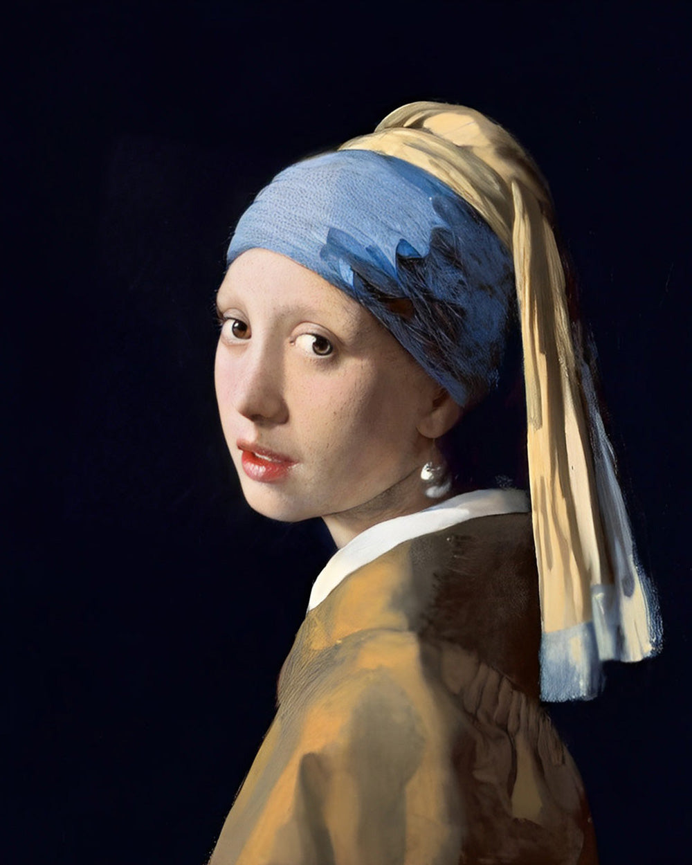 Girl with a pearl earring cross stitch kit for beginners