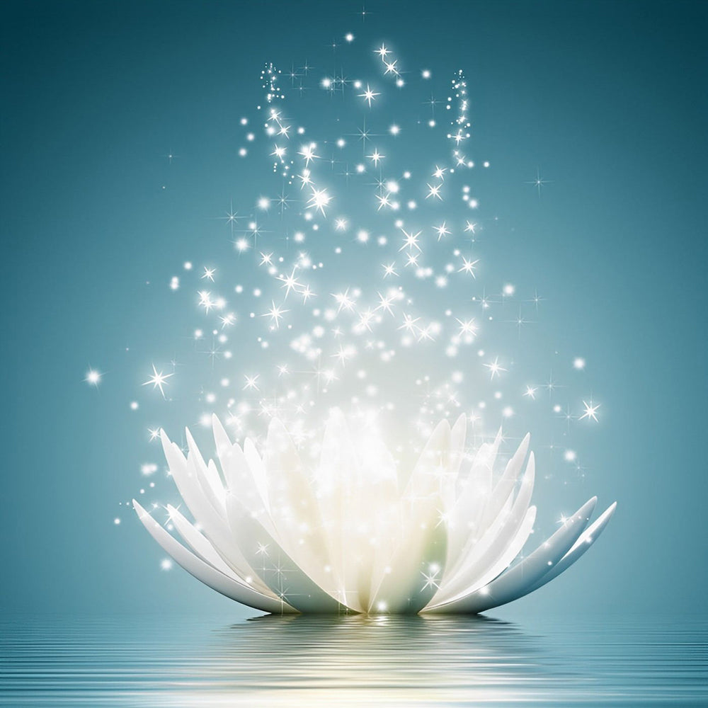 Glowing white lotus flower paint by numbers kit for beginners