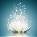 Glowing white lotus flower paint by numbers kit for beginners