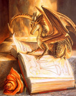 Golden dragon and spellbook cross stitch kit for beginners