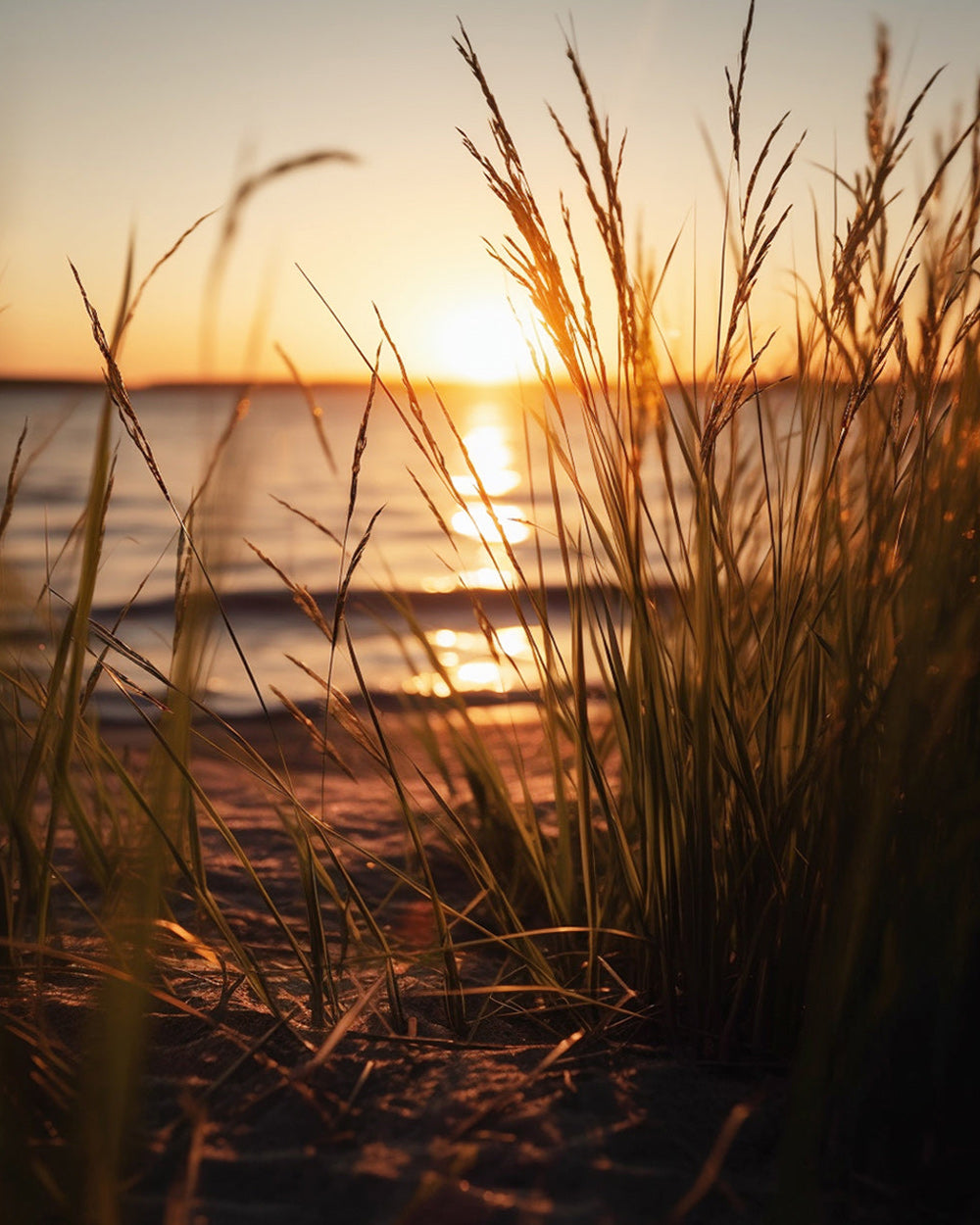 Golden hour beach grass silhouette cross stitch kit for beginners