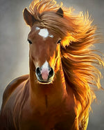 Golden mane horse cross stitch kit for beginners